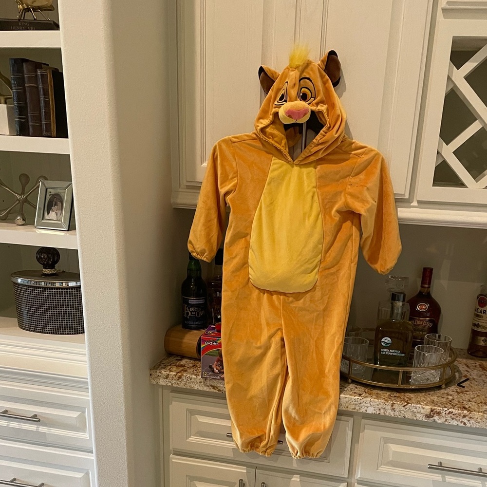 Lion king simba costume